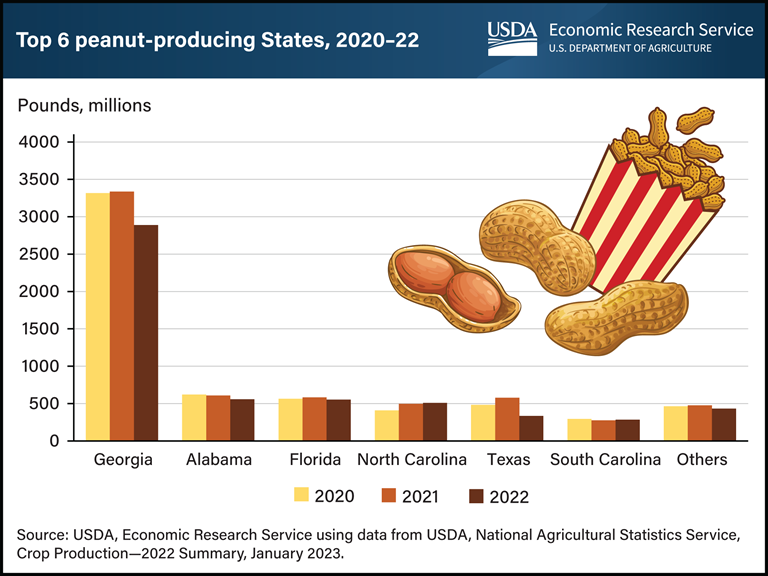 Leads United States Production of Peanuts, Outproducing All…