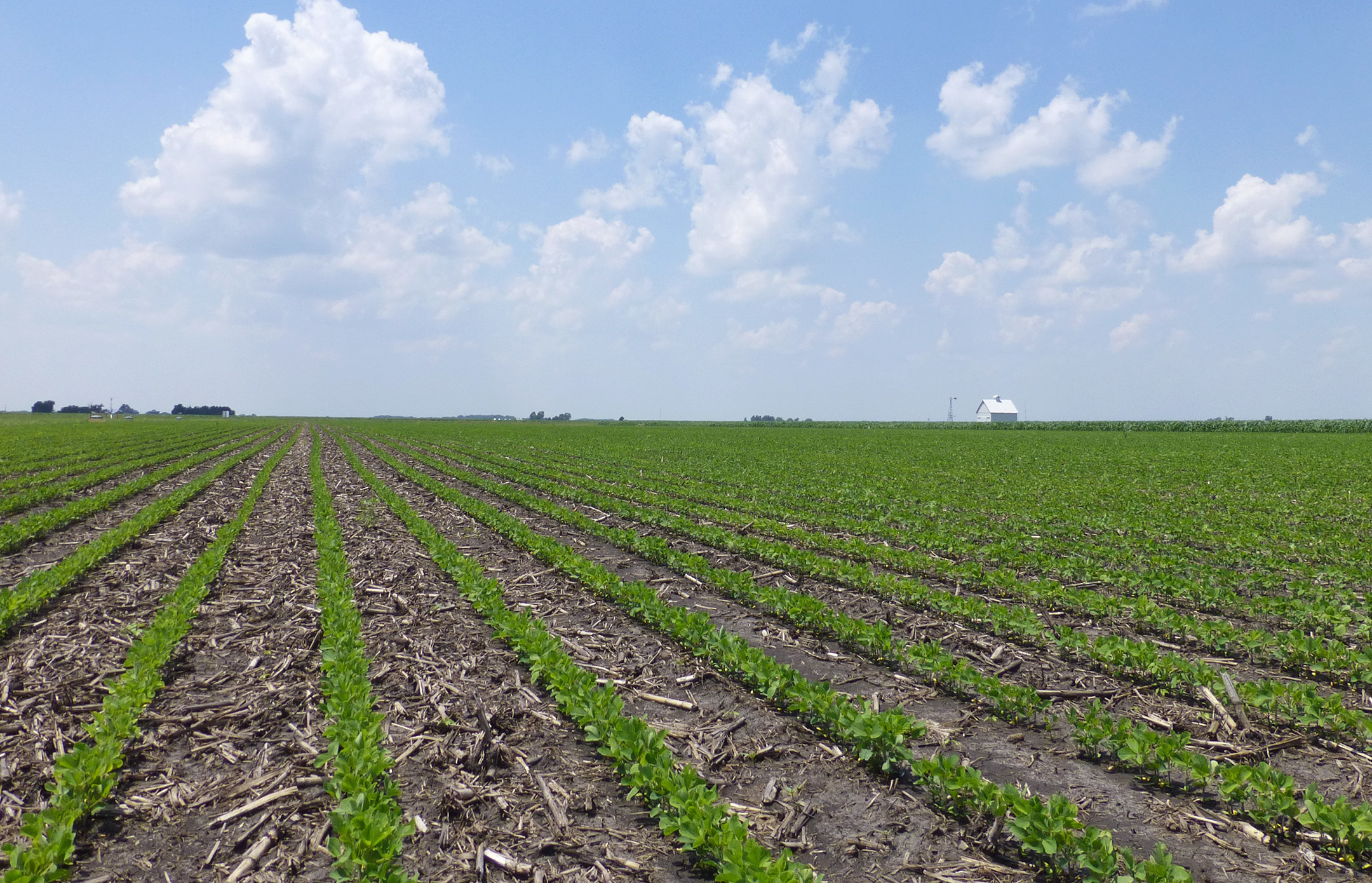 Syngenta Joins Partnership With Iowa Soybean Research Center at…