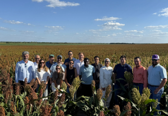 Photo credit: U.S. Grains & BioProducts Council.