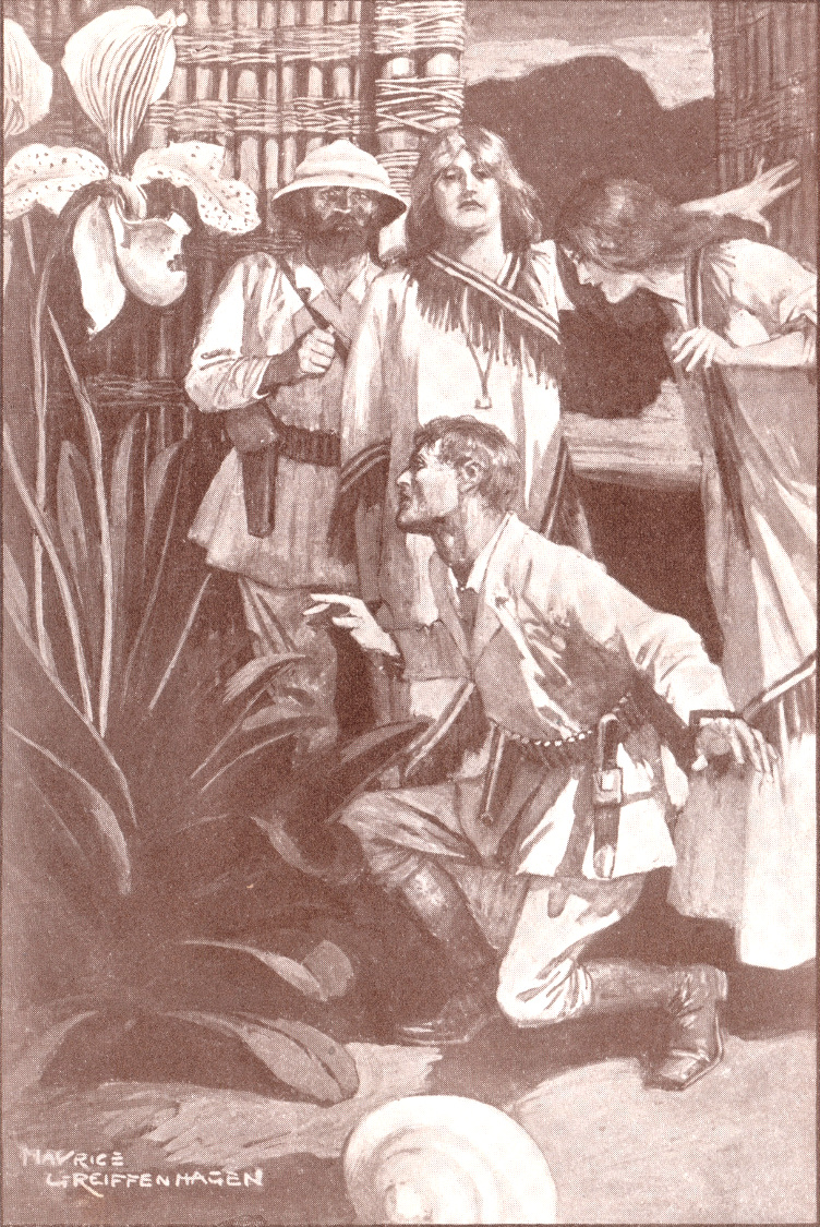 Click to enlarge Allanandcover