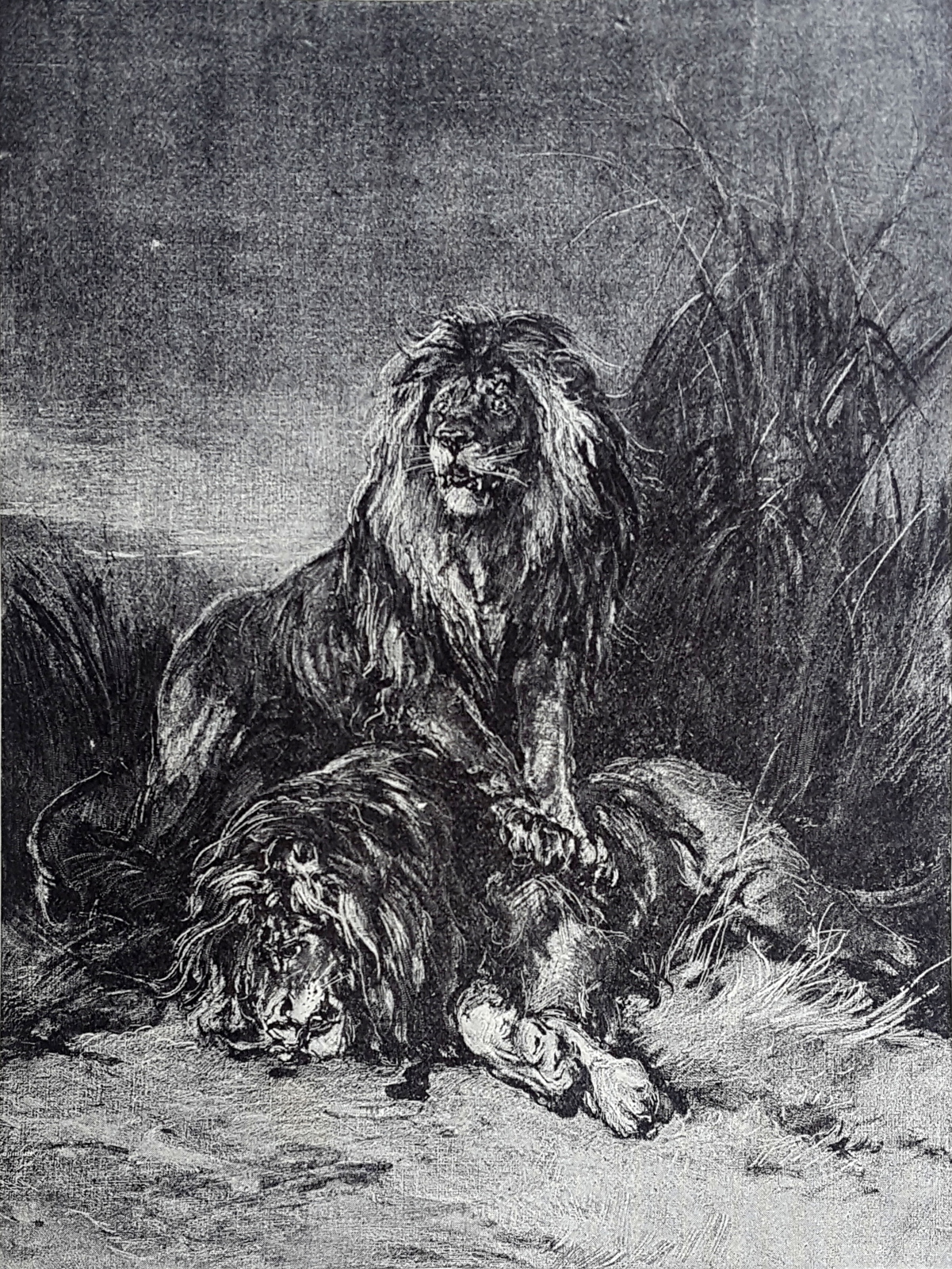 Atalanta Magazine, vol. 1, no. 3