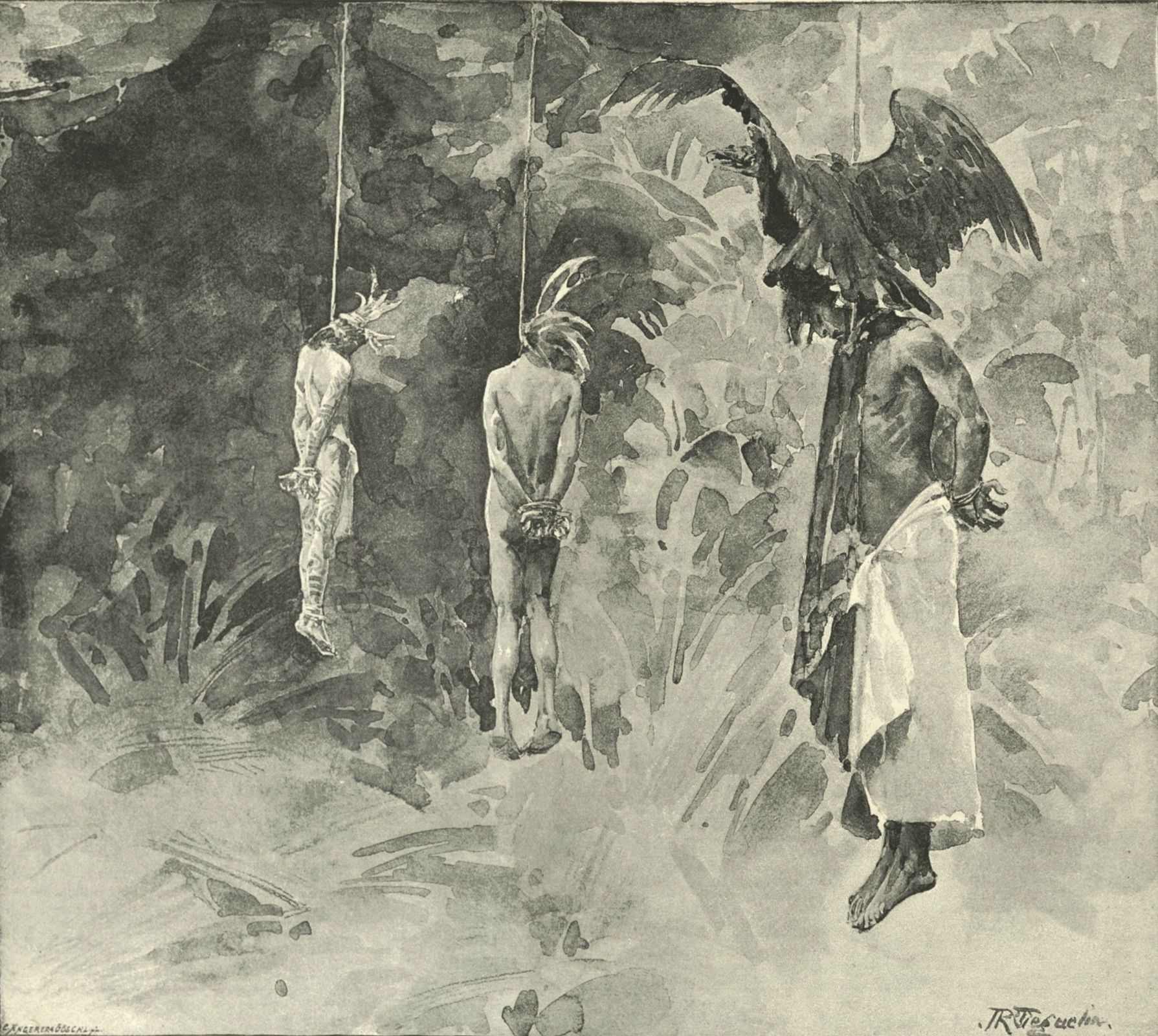 The Graphic, vol. 48, no. 1246