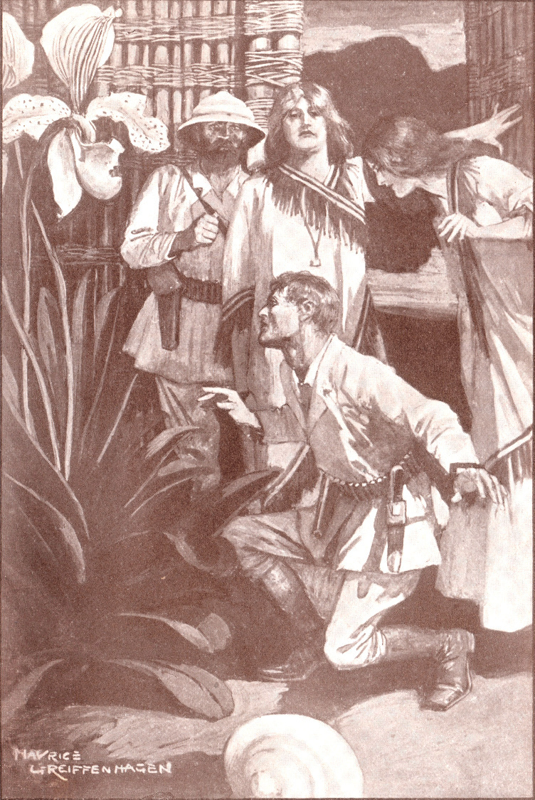 Allan and the Holy Flower [The Holy Flower] - 1st US edition