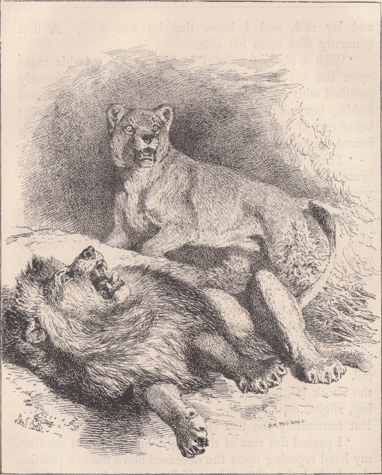 Click to enlarge Inagoodcausecover