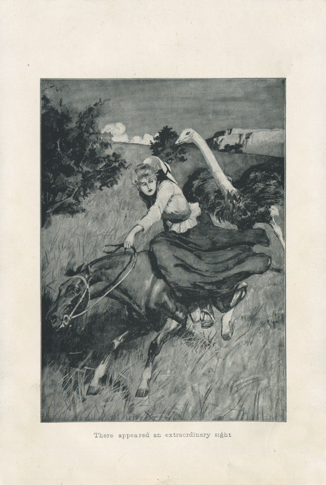 There appeared an extraordinary sight