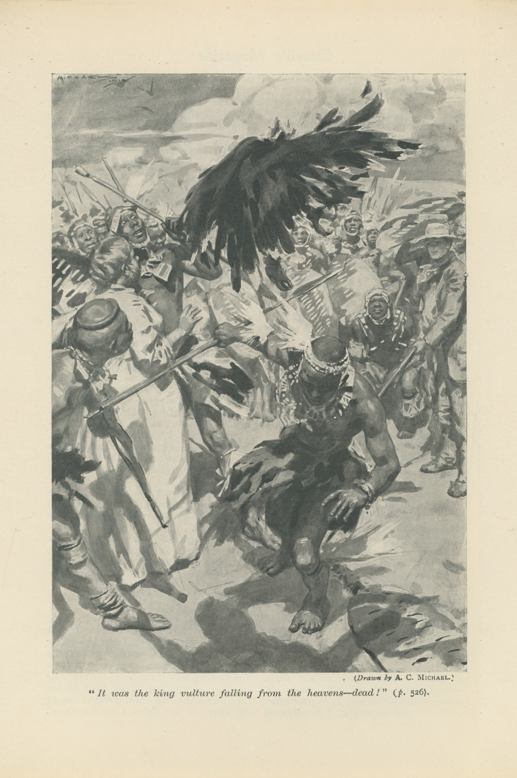 It was the king vulture falling from the heavens— dead! Itwascassell523
