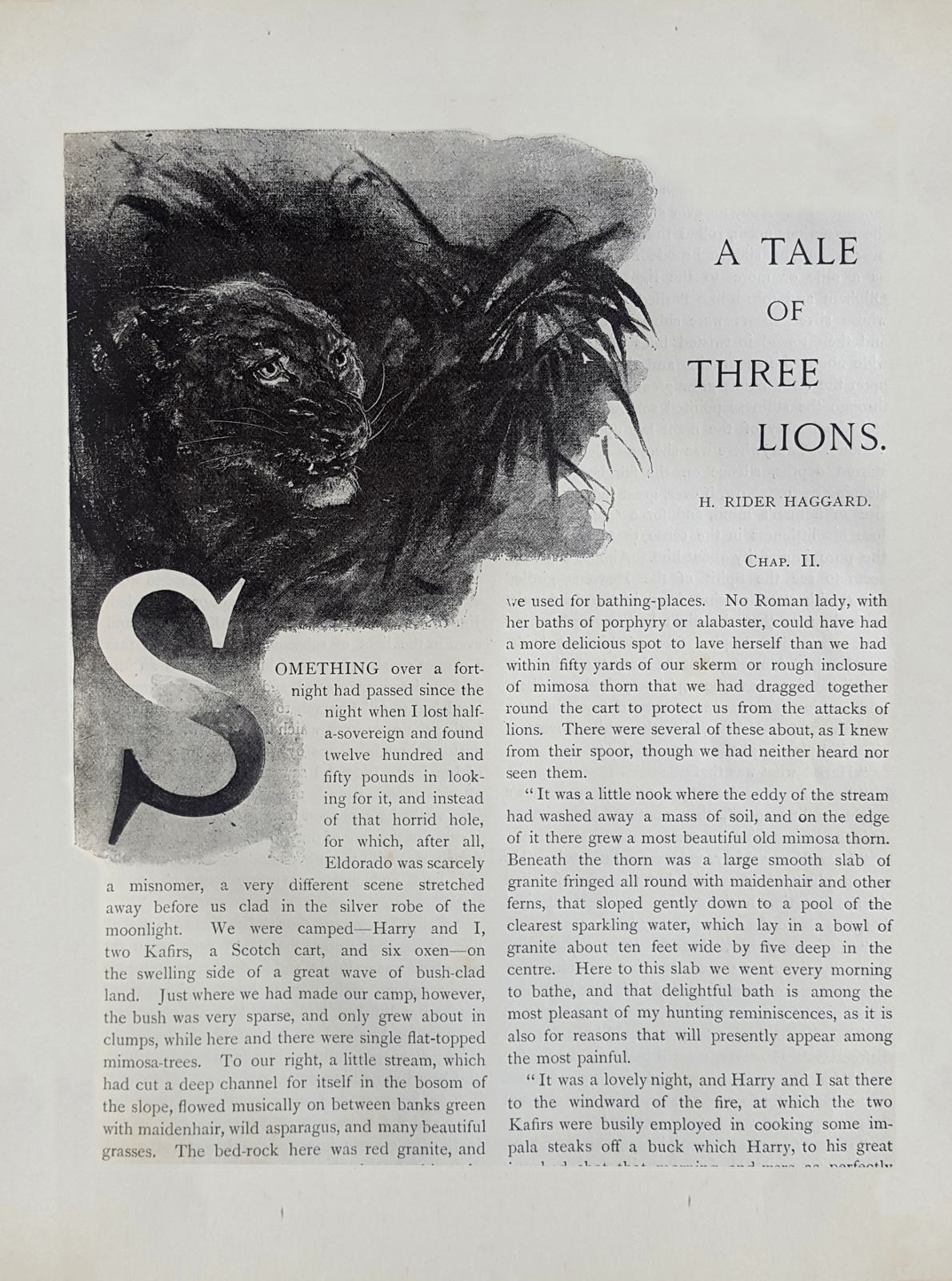 A Tale of Three Lions