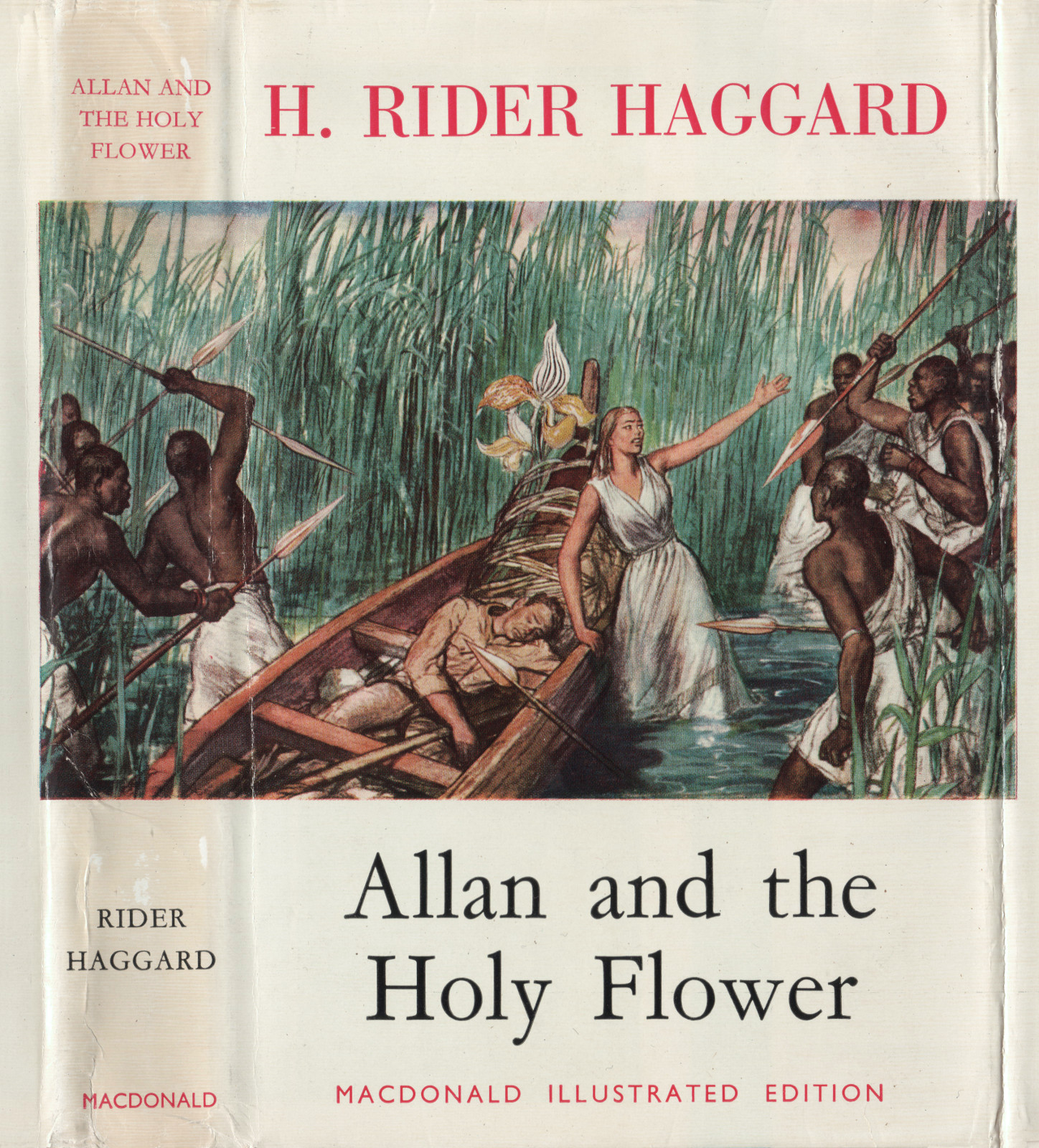 Allan and the Holy Flower Allanandtheholyflowermacdonalddustjacket