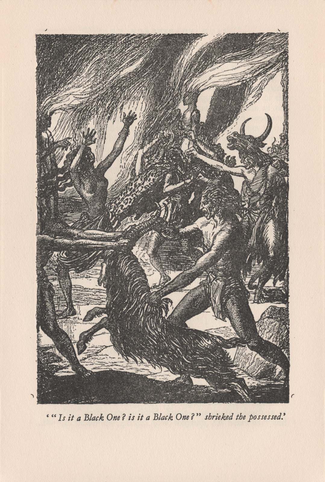 'Is it a black one? Is it a black one?' Shrieked the possessed