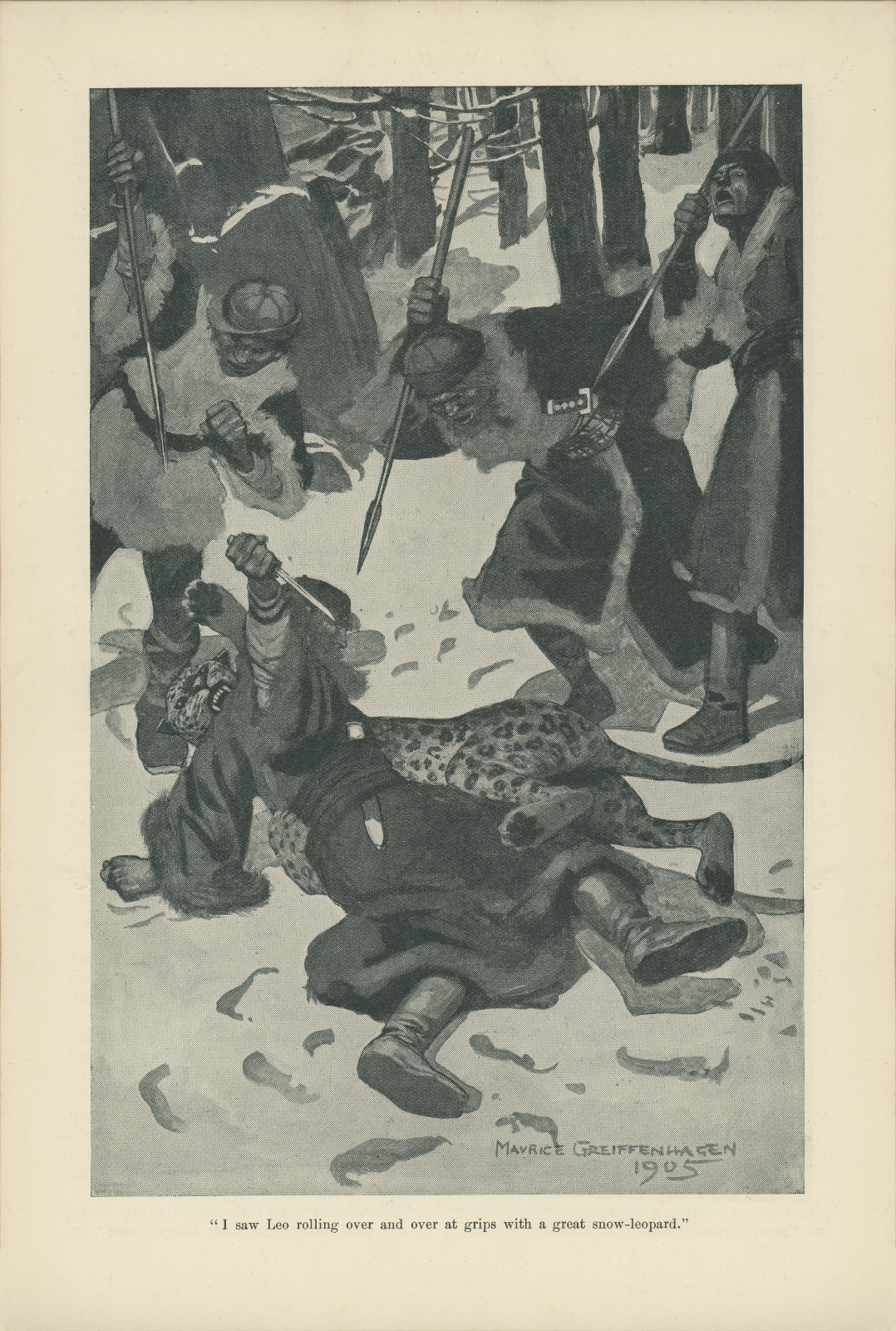 I saw Leo rolling over and over at grips with a great snow-leopard