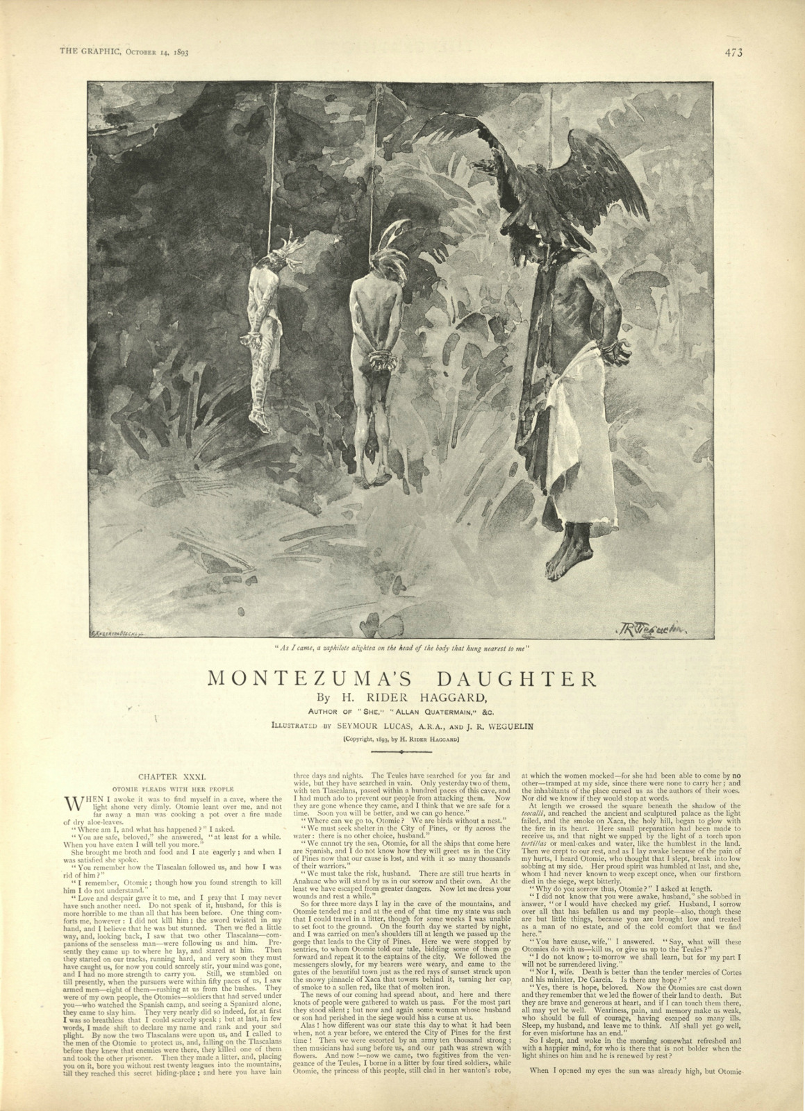 As I came, a zaphilote alighted on the head of the body that hung nearest to me Asithegraphic473