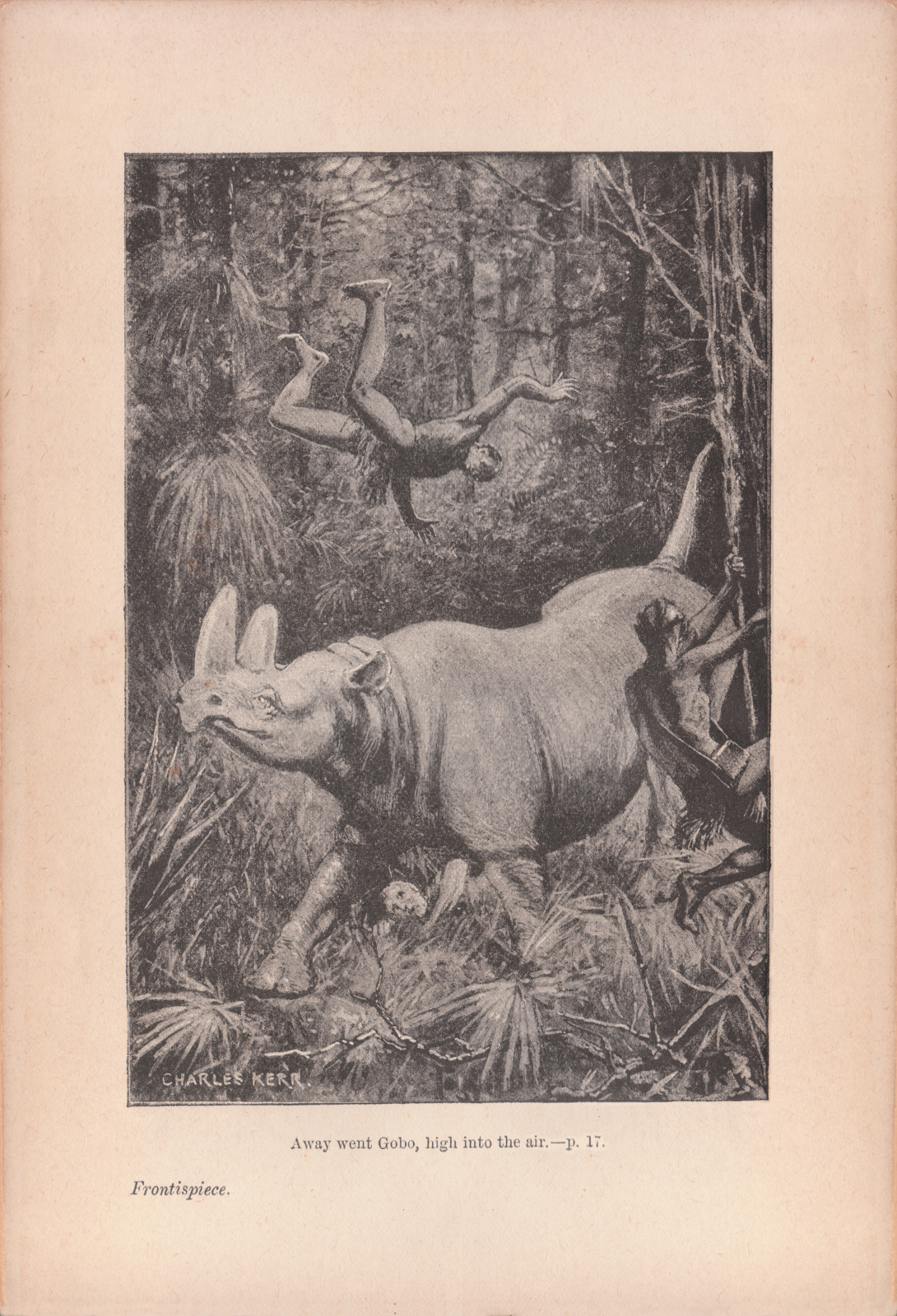 Away went Gobo, high into the air. Awaywentfrontispiece
