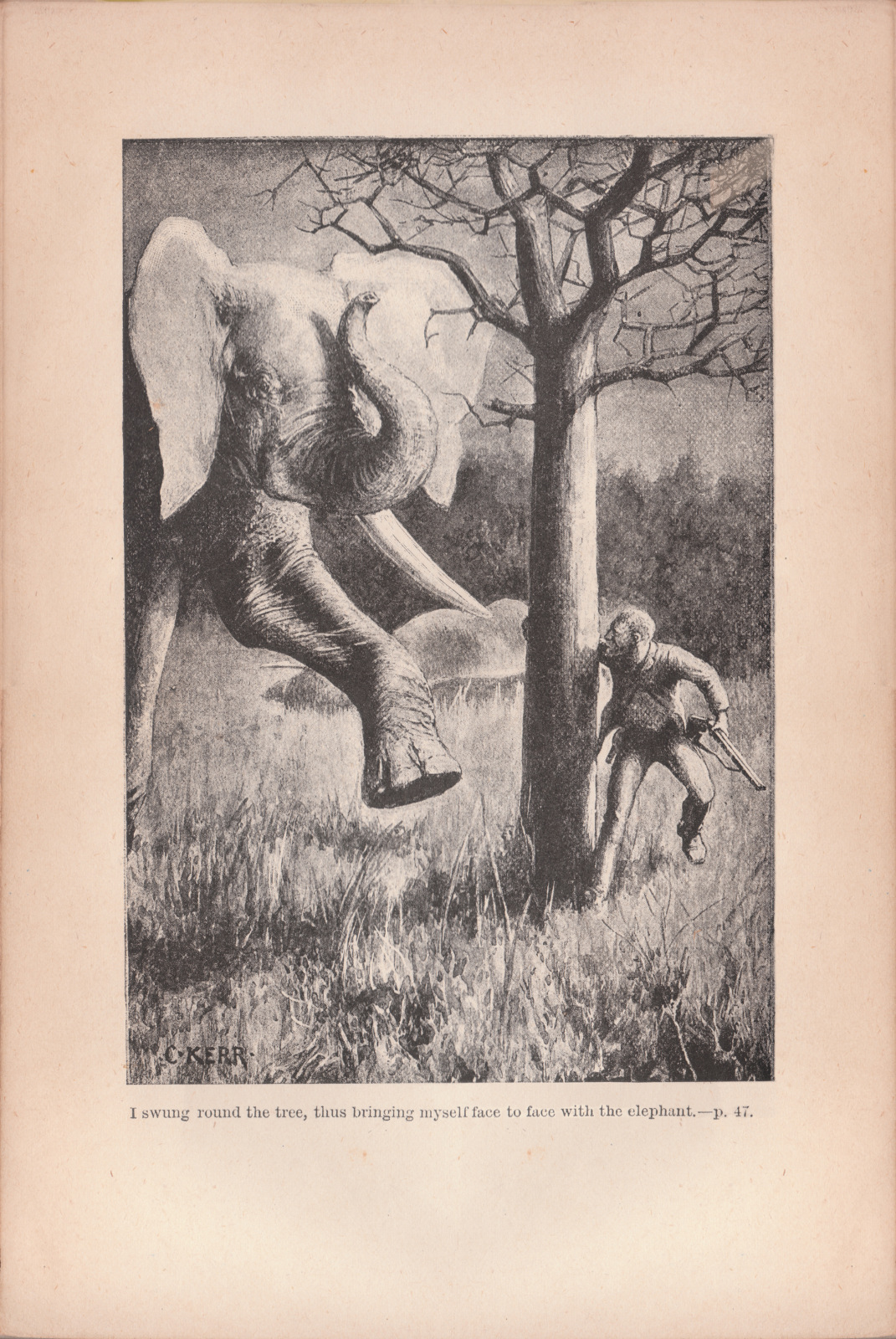 I swung round the tree, thus bringing myself face to face with the elephant.