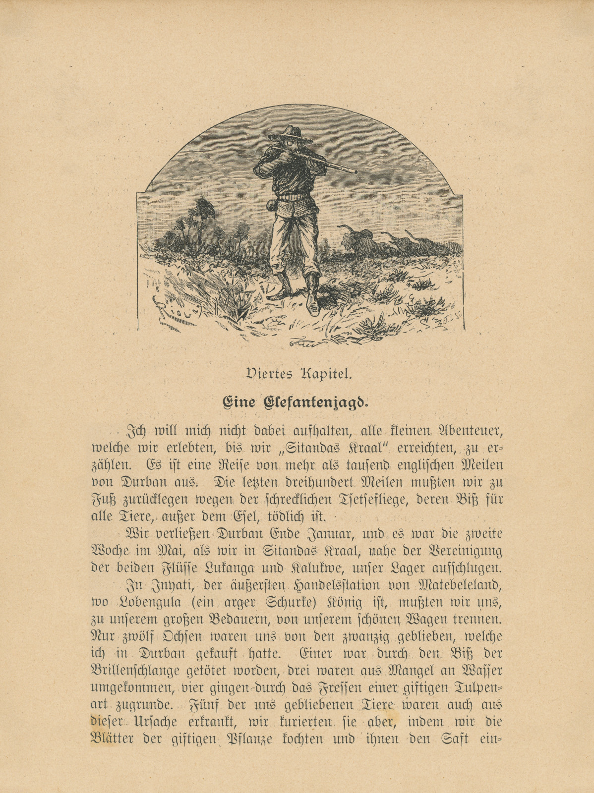 Eine Elefantenjagd Eineelefantenjagddiamantminenvonafrika31