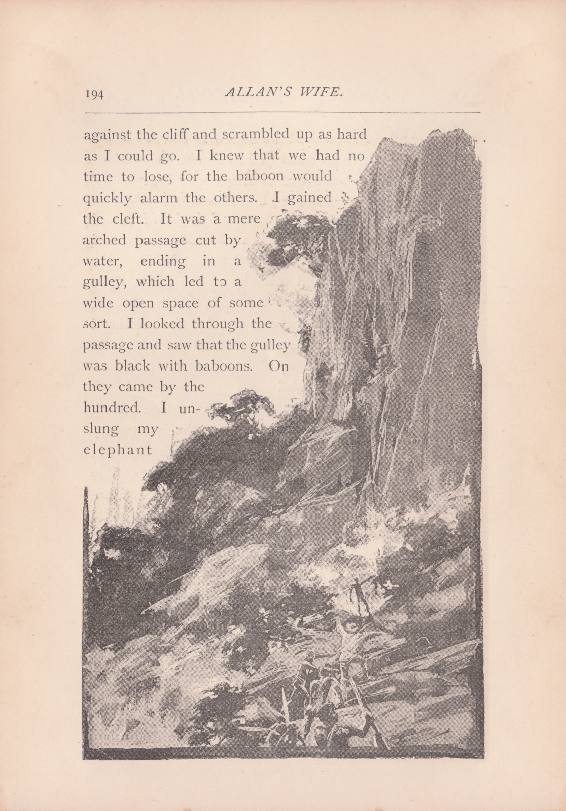 I looked through the passage and saw that the gulley was black with baboons