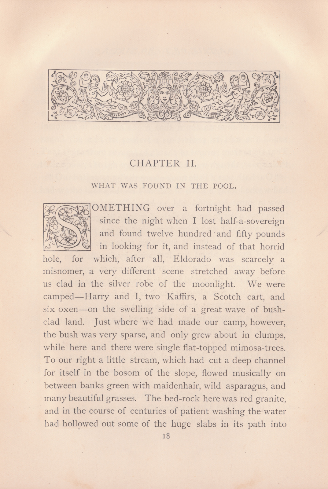 What Was Found in the Pool