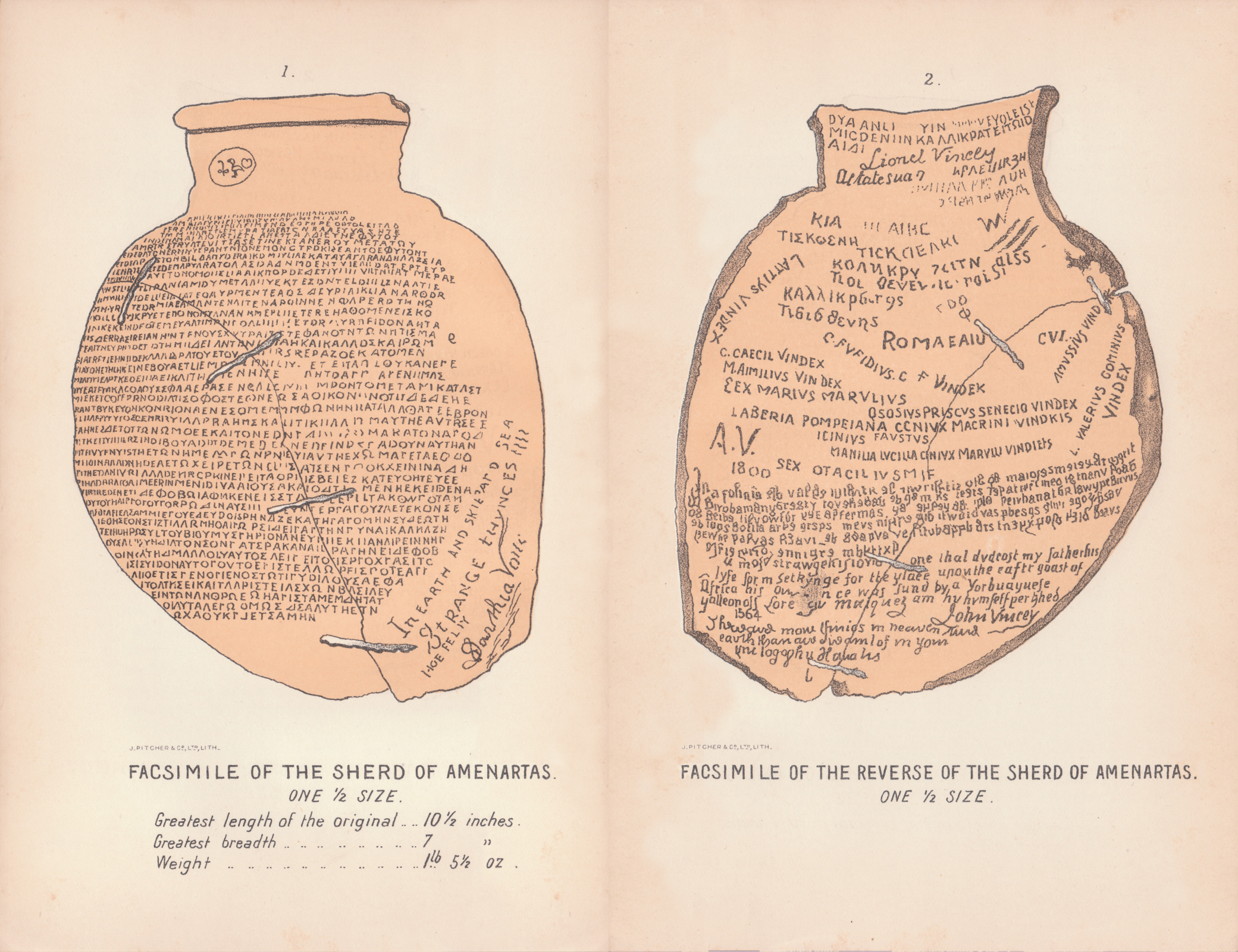 Facsimilie of the sherd of Amenartas one 1/2 size. Facsimilie of the reverse of the sherd of Amenartas, one 1/2 size. Facsimileoflongmans30