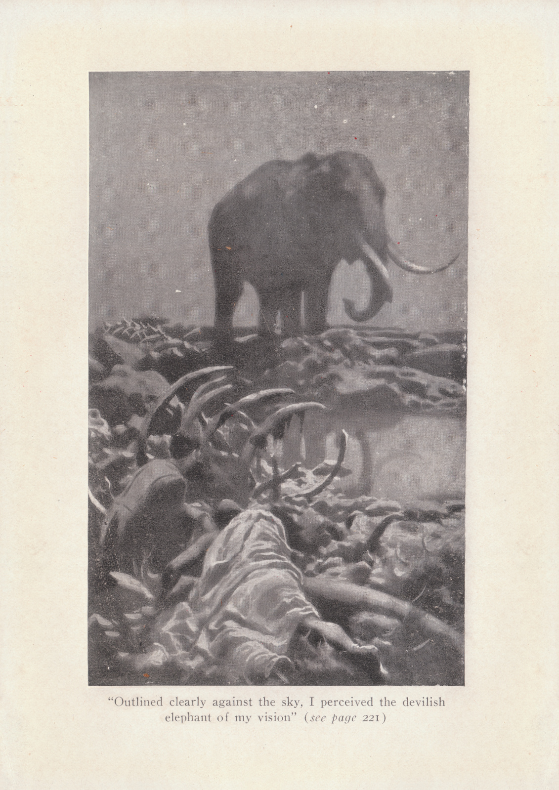 Outlined clearly against the sky, I perceived the devilish elephant of my vision