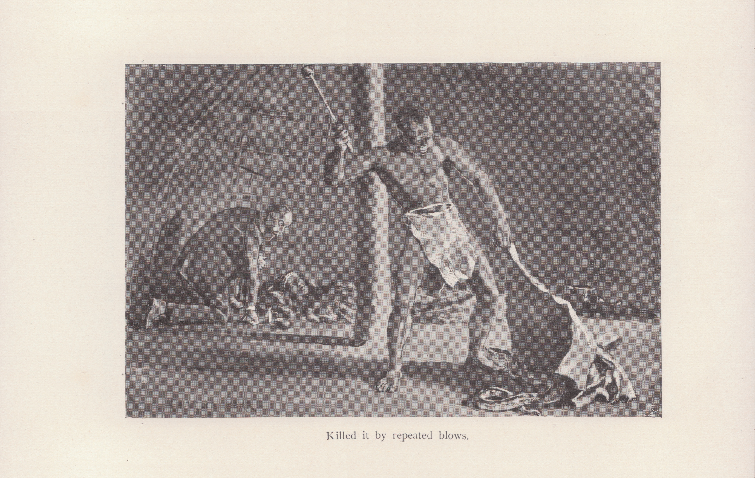 Killed it by repeated blows