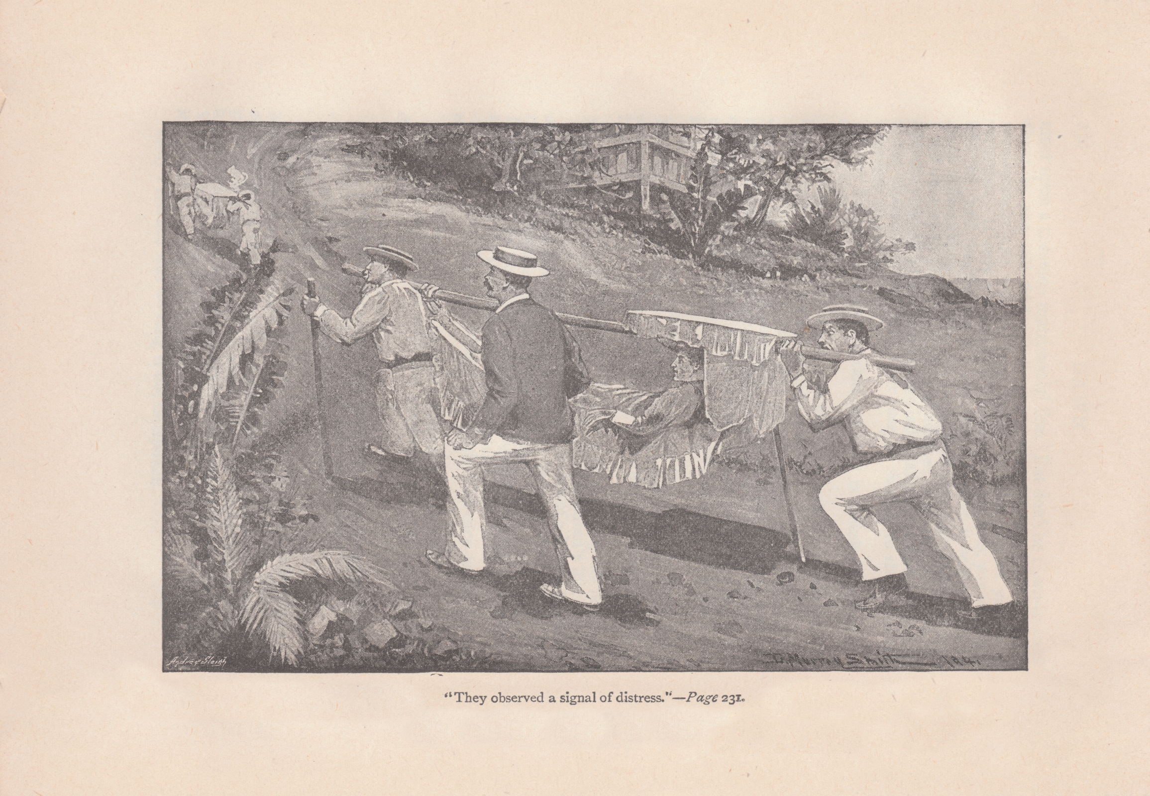 They observed a signal of distress Theyobserved231