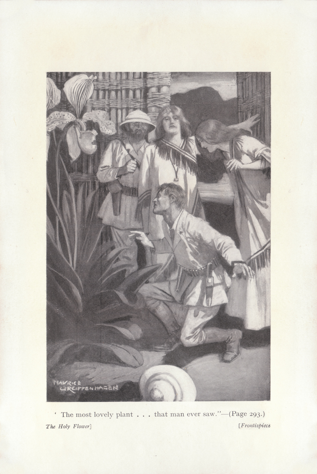 'The most lovely plant... that man ever saw'