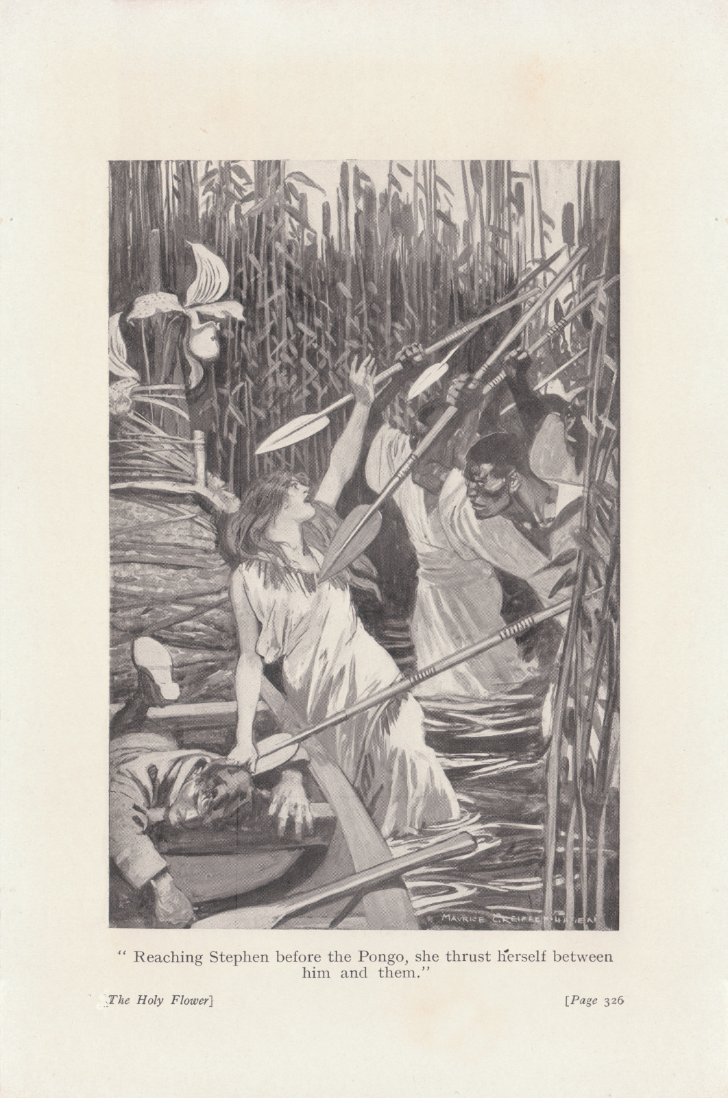 Reaching Stephen before the Pongo, she thrust herself between him and them