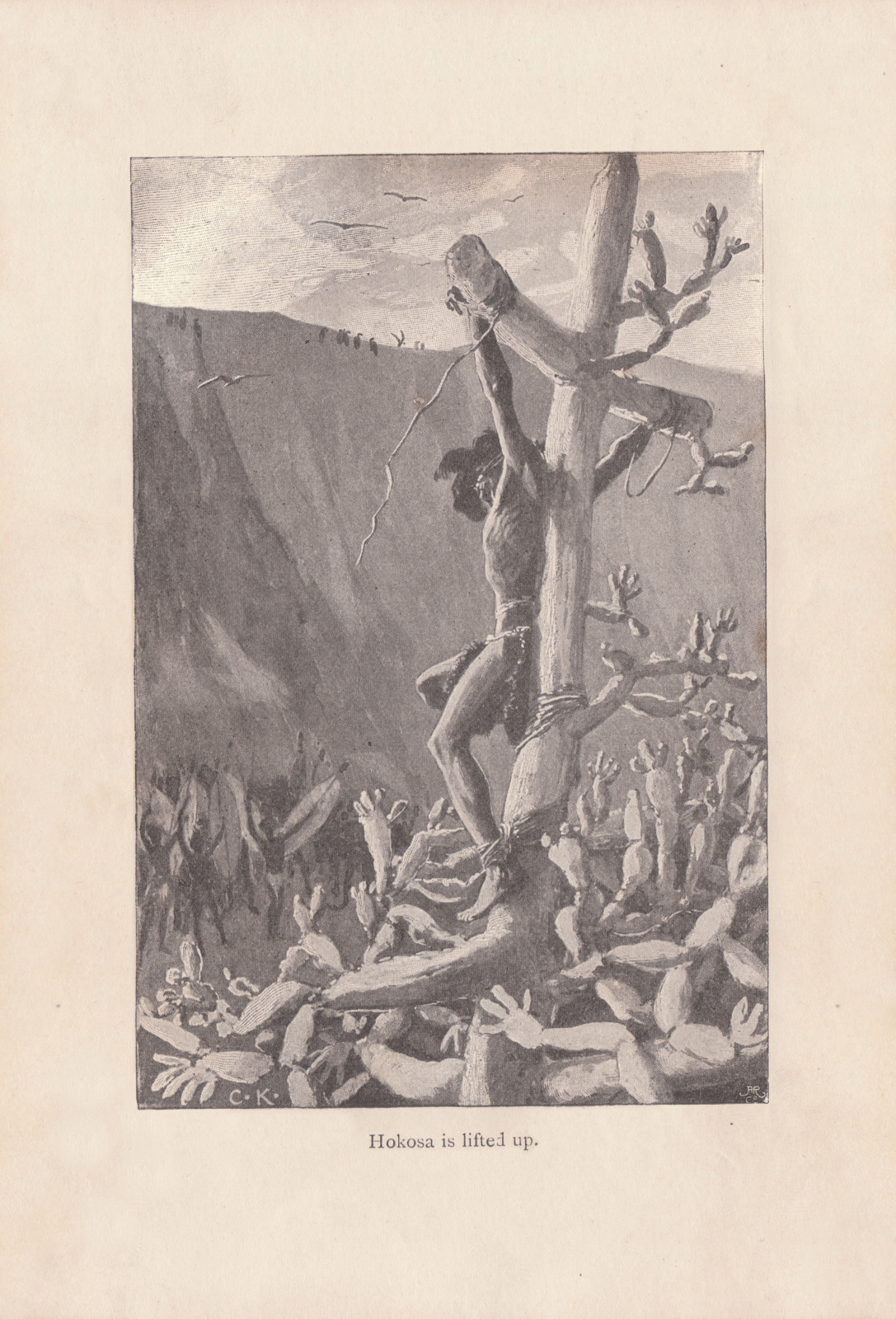 Hokosa is lifted up.