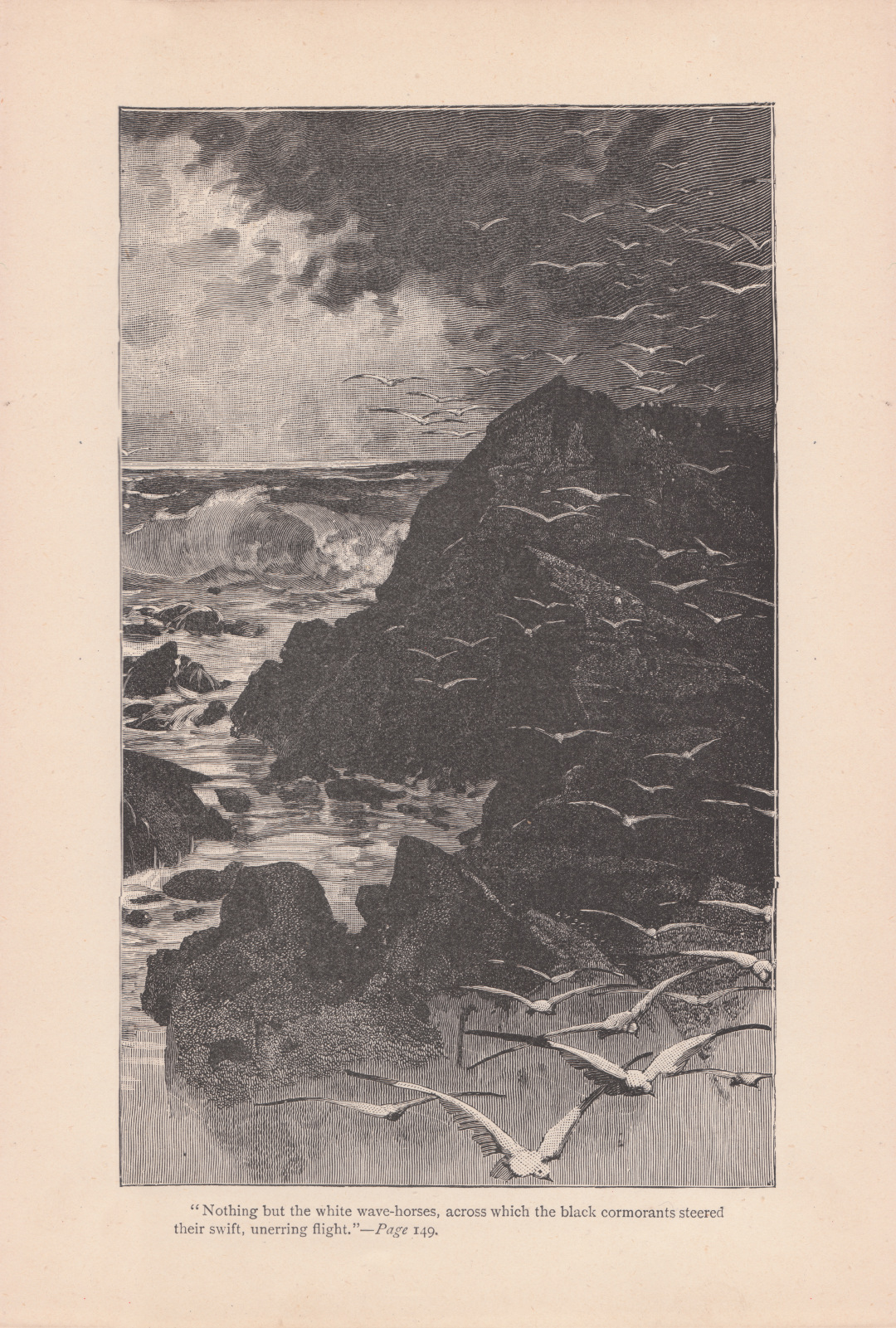 Nothing but the white wave-horses, across which the black cormorants steered their swift, unerring flight.