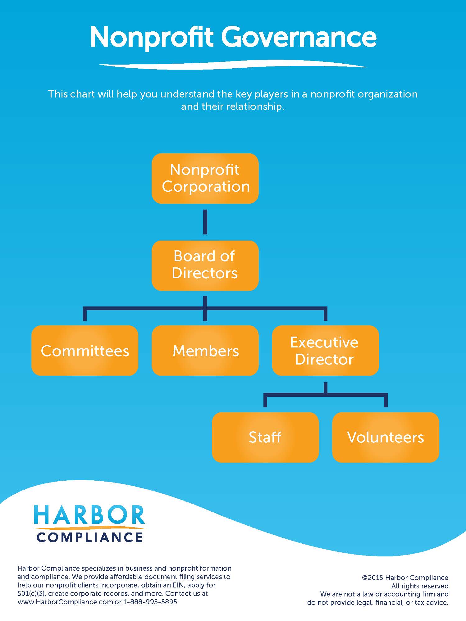 organization chart non pfrofit