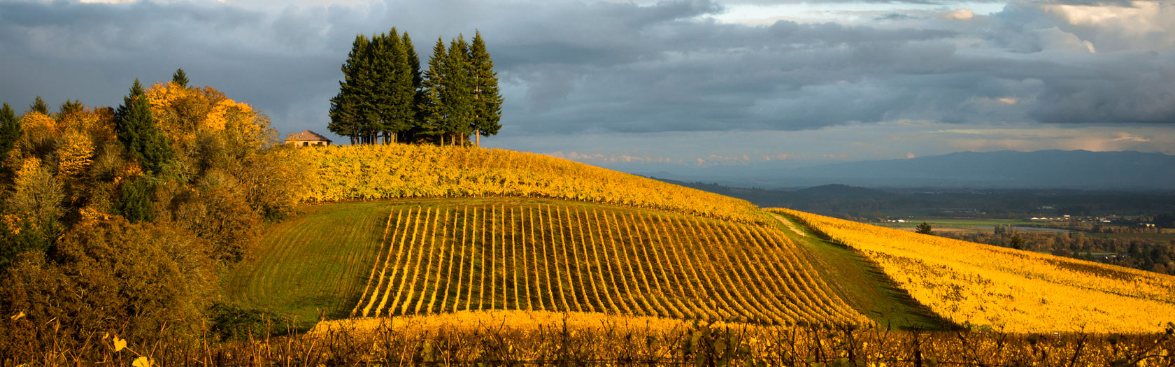 New Homes Willamette Valley Eugene, Springfield, Albany,