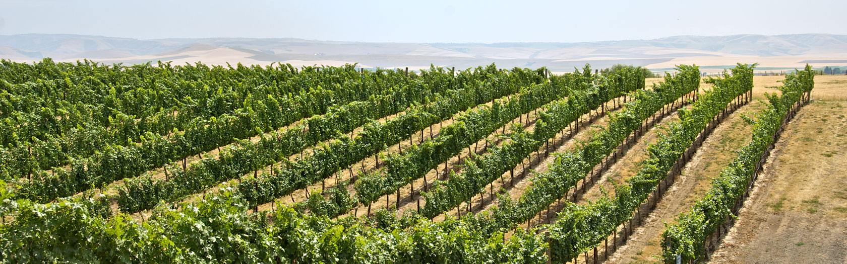 New Homes Walla Walla Walla Walla and College Place