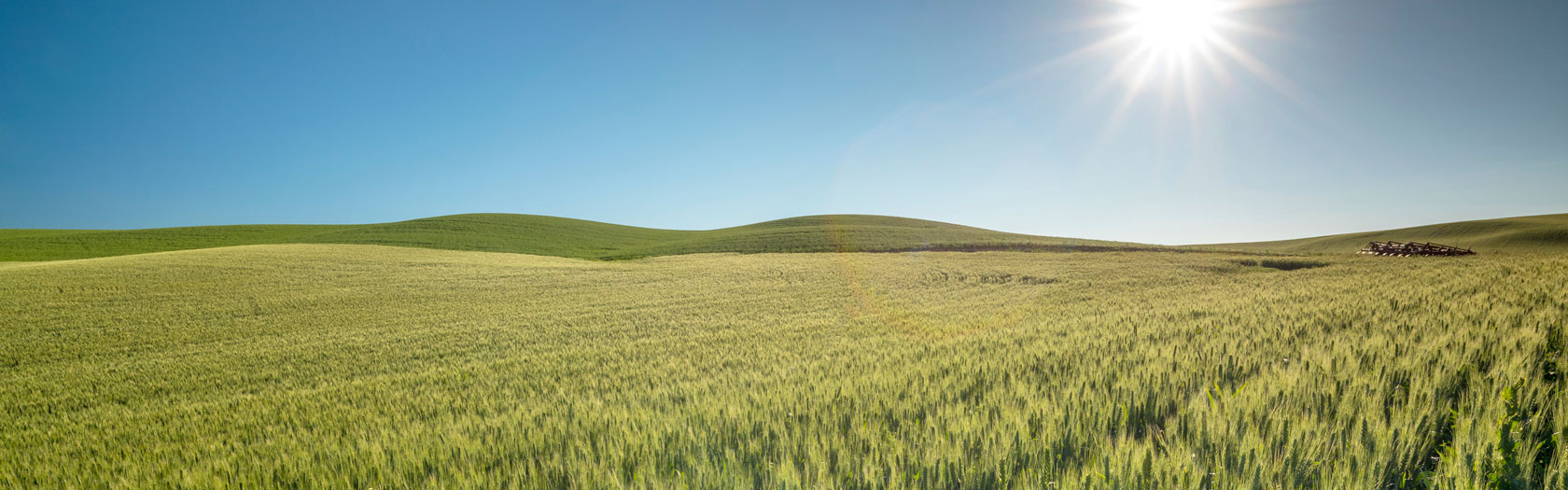 Star Idaho New Homes For Sale Star Idaho New Homes For Sale