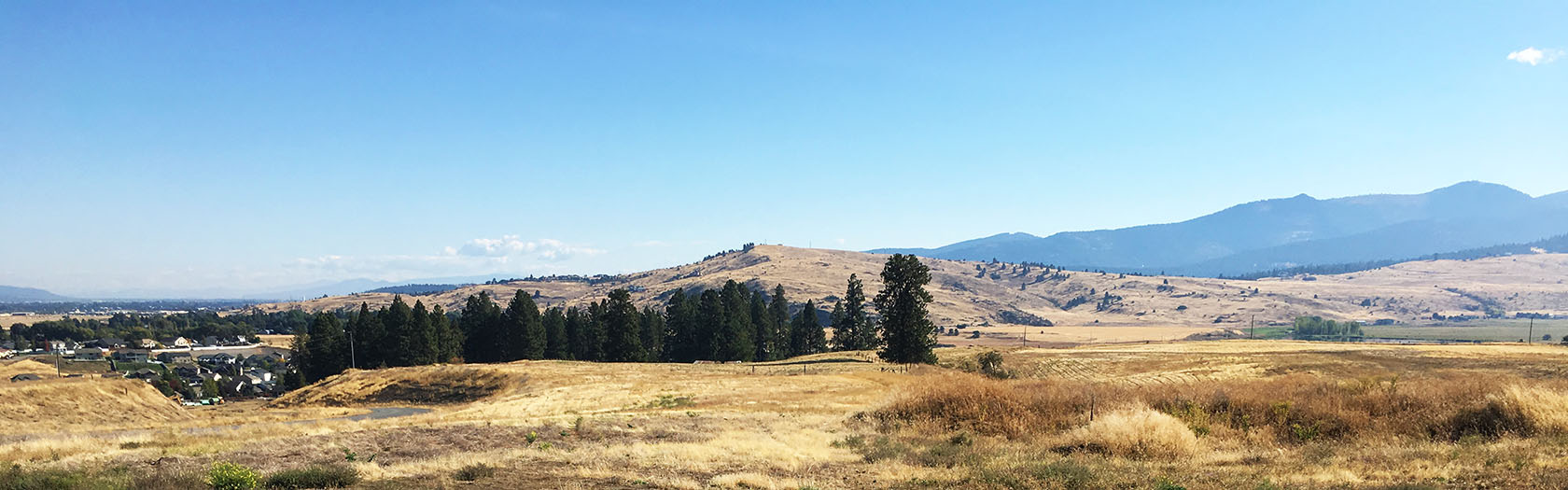 New Homes Spokane Valley Sterling Hills Hayden Homes