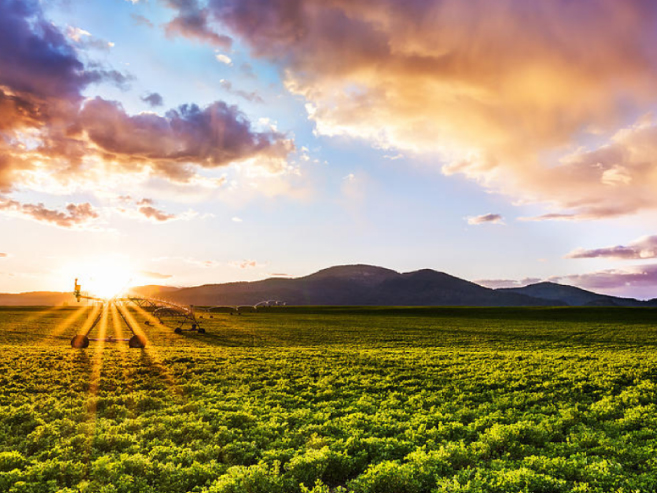 Brookshire New Home Community Rathdrum | Hayden Homes