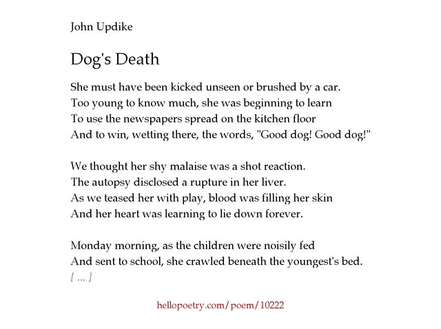 poems about dogs dying s updike poem thedruge390 web fc2 poems about dogs dying s updike poem thedruge390 web fc2