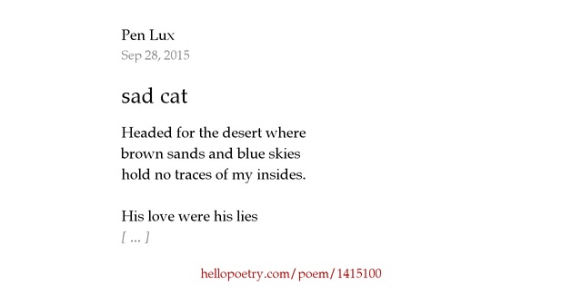 18 Sad Cat Loss Poems Photos