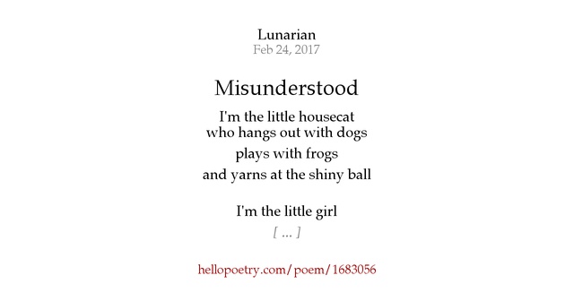 Misunderstood by Lunarian - Hello Poetry