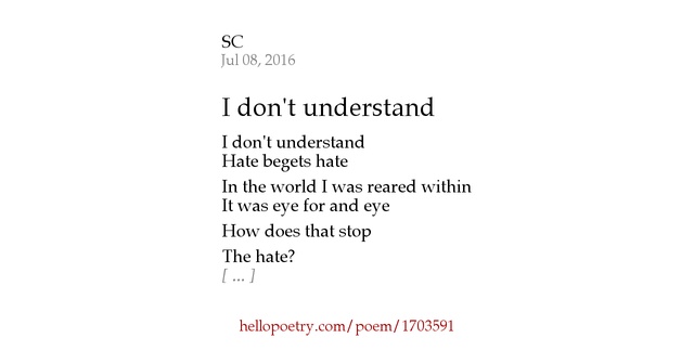 I Don T Understand En Francais