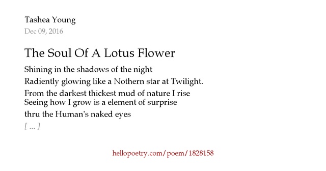 Lotus flower lyrics