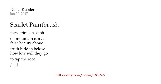 Scarlet Paintbrush by Denel Kessler - Hello Poetry