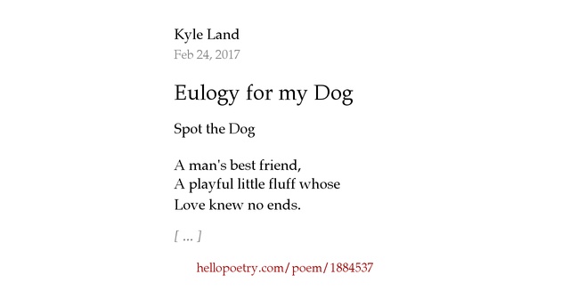 Cat eulogy quotes image