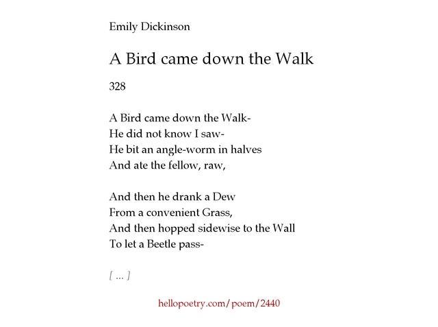 an analysis of rhyme and meter styles in a bird came down the walk by emily dickinson There is another sky by emily dickinson a bird came down the walk by emily dickinson a bird came down the walk by emily dickinson stories 1. an analysis of rhyme and meter styles in a bird came down the walk by emily dickinson There is another sky by emily dickinson a bird came down the walk by emily dickinson a bird came down the walk by emily dickinson stories 1.