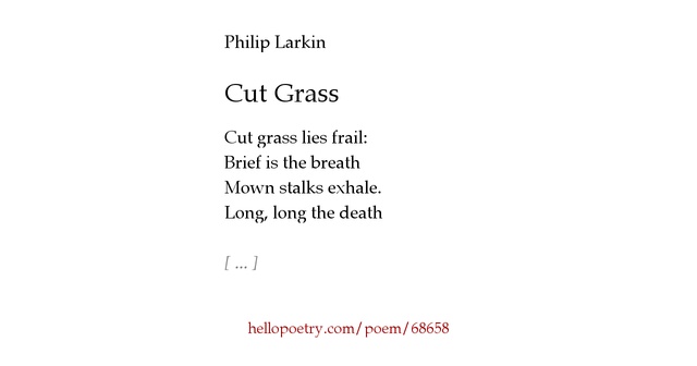 the poem at grass by philip Multiple types of departure will probably be described in this poem, poetry of departures philip larkin 1335750/philip-larkins-secretary-helped. the poem at grass by philip Multiple types of departure will probably be described in this poem, poetry of departures philip larkin 1335750/philip-larkins-secretary-helped.