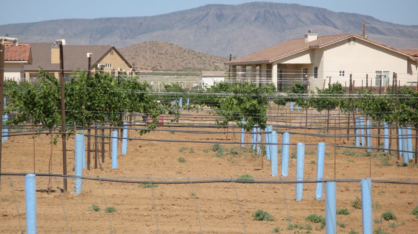 Kingman Arizona Land Kingman Arizona Land