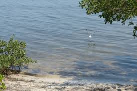 Longboat Key FL Real Estate Longboat Key FL Real Estate