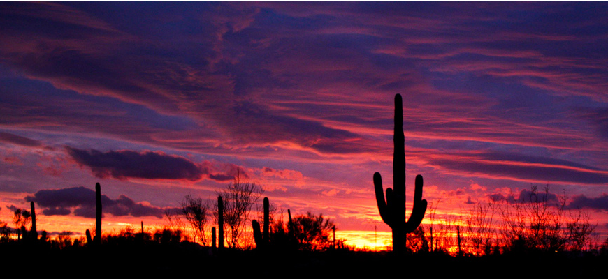 New River Sunsets never get old!
