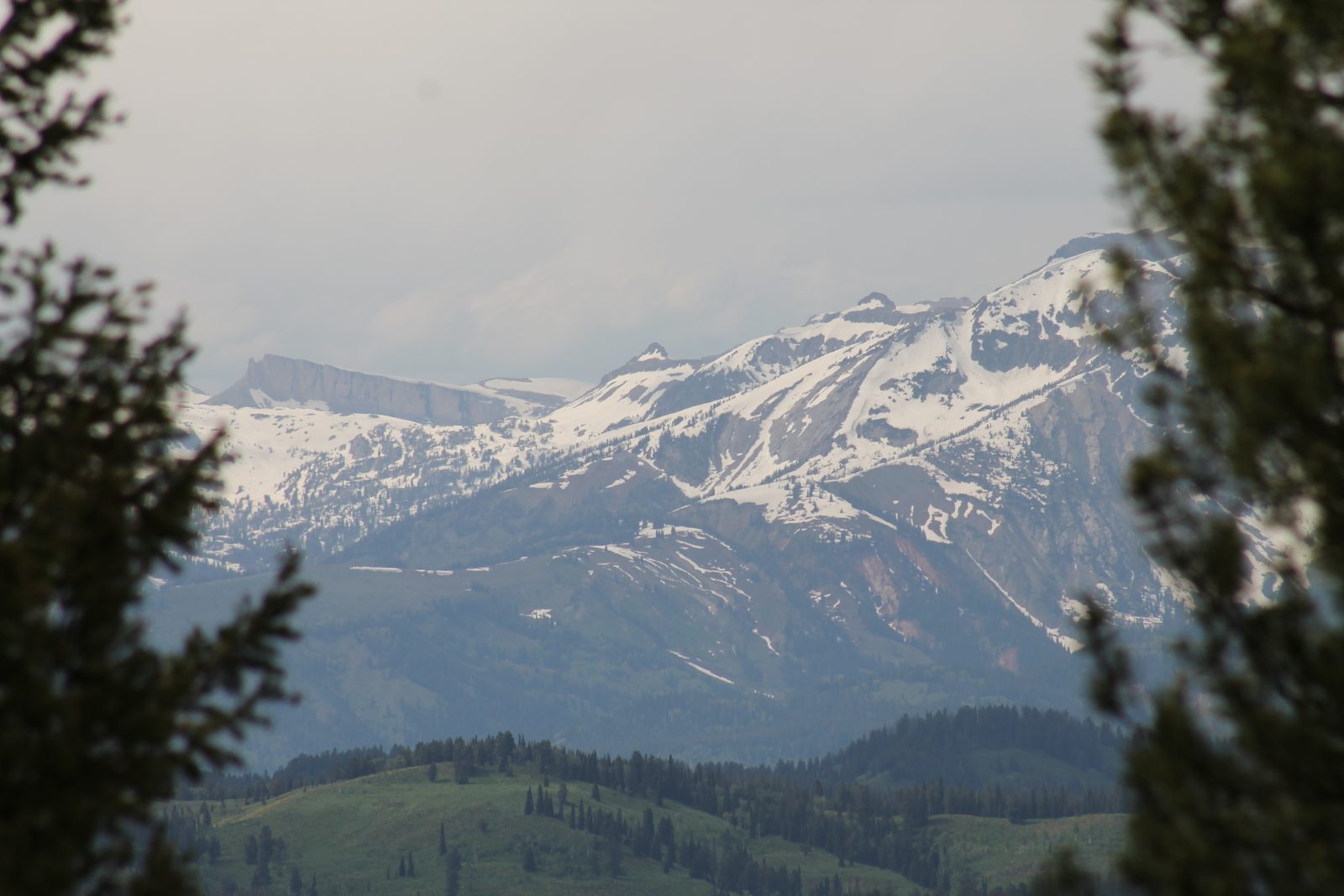 Big Piney, WY Real Estate Tracy Pape