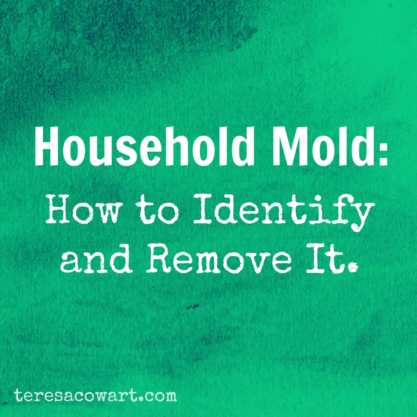 Mold in the Home: How to Identify and Remove It