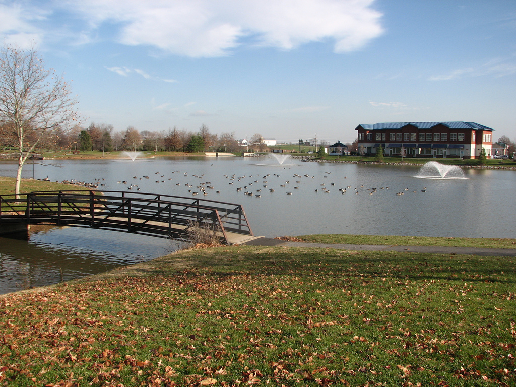 Whittier MD homes and town homes for sale