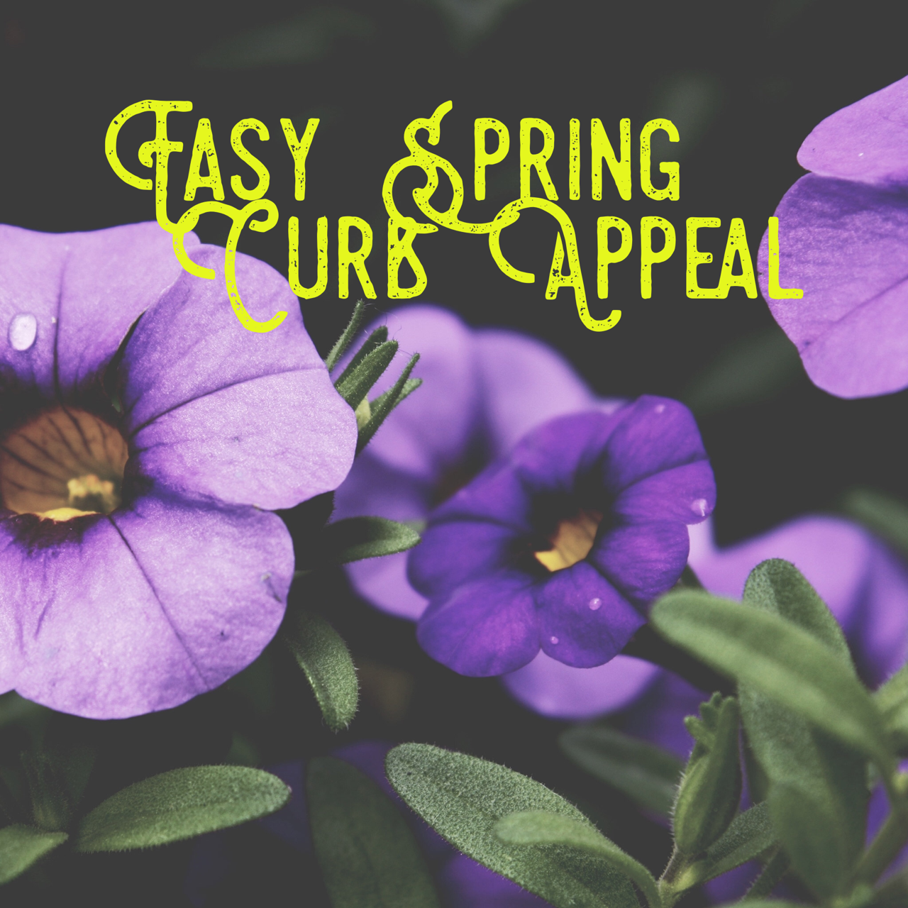 Easy Spring Curb Appeal